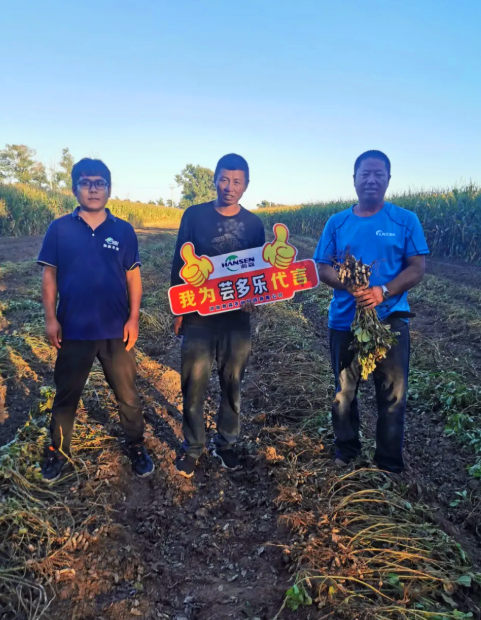 小麦拌种剂
