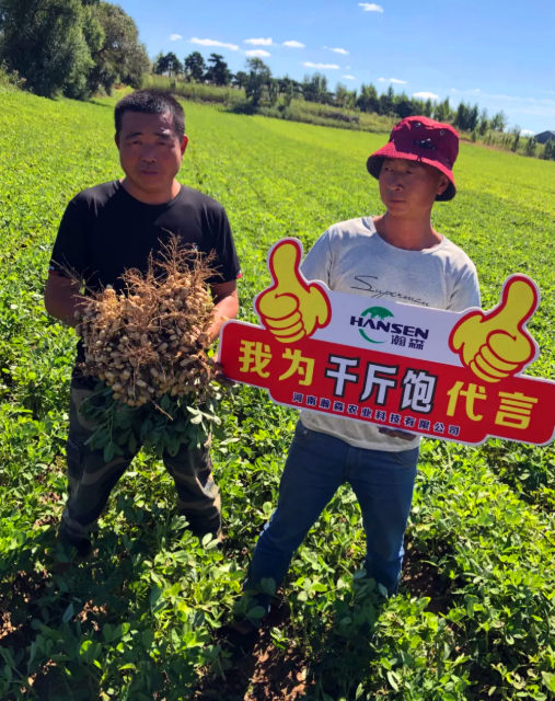花生套餐
