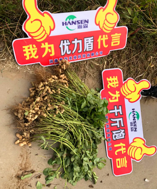 花生三遍药